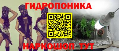 герыч Бердск