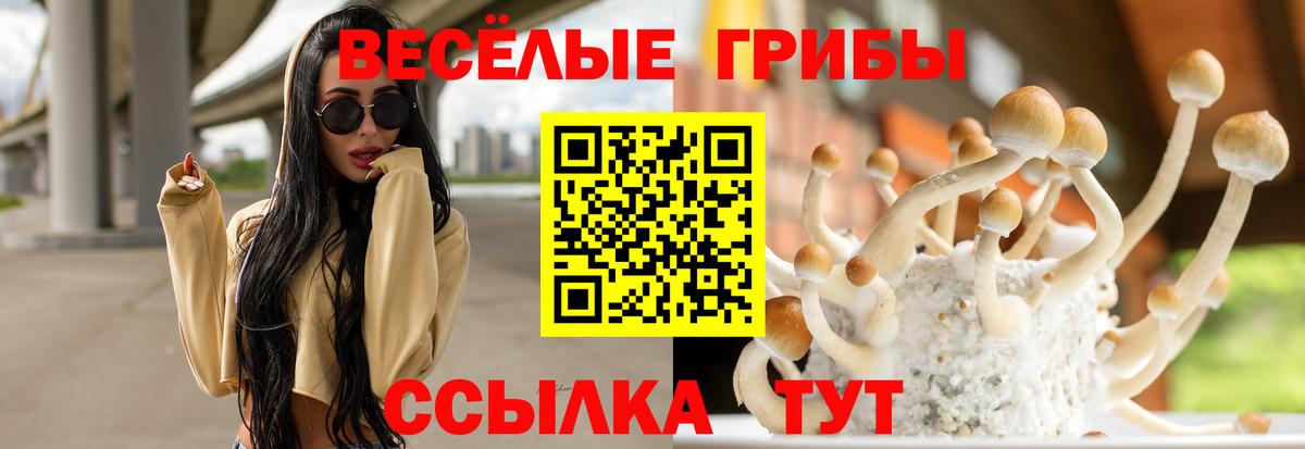 Белово  Псилоцибиновые грибы мухоморы  Вход с VPN 